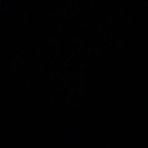 Meet your Posher, Kaleena